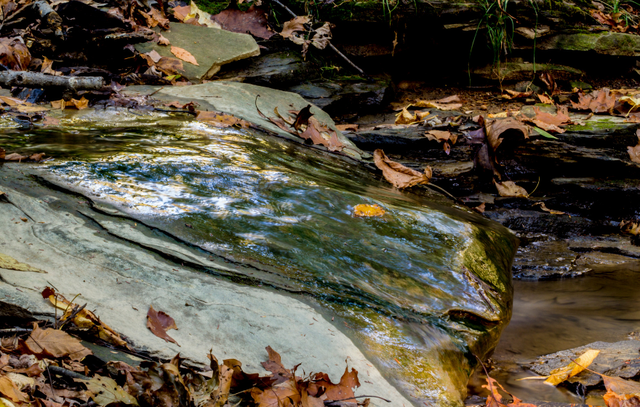 “万人攻打香山”！北方人对秋天的执念，早就被他写透了