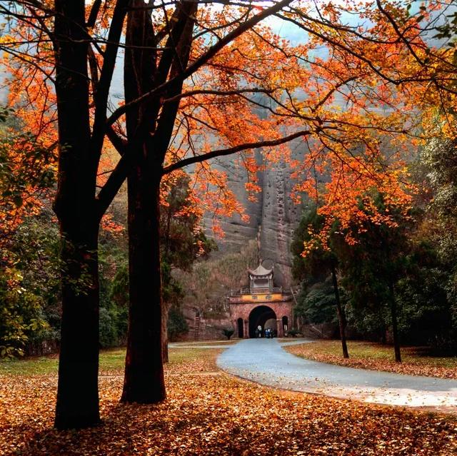 上海人免费打卡世界丹霞龟峰，邂逅多彩弋阳~