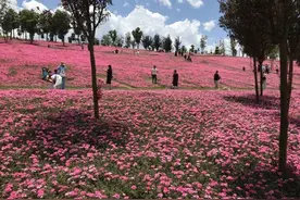 云南文旅业交出“五一”亮眼成绩单图片