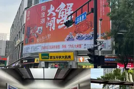 中秋市场提前探！梭子蟹仍占“C位” 北方大闸蟹9月上旬大量上市图片
