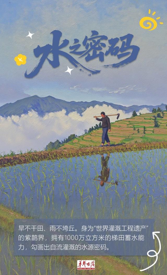 【AI海报】紫鹊界，讲给世界的密语