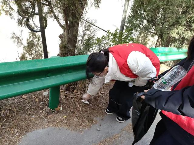 【青春护绿志愿行，环境焕新我先行】文县团委积极组织“返家乡”大学生参与环境卫生整治