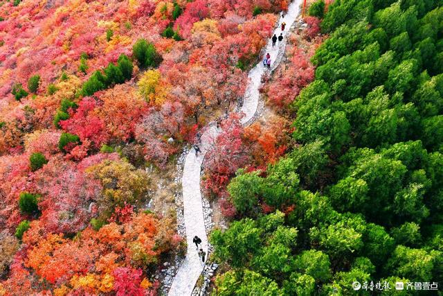 济南蝎子山，深秋 “鸳鸯火锅”景如画