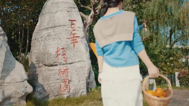 组个“橘” “宜”起“都”来解锁新乐趣→