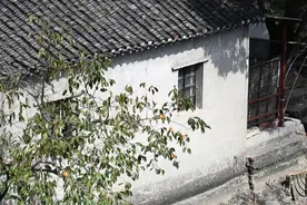 危房因在遗址范围内无法翻改建？代表建议：完善民生工程操作路径图片