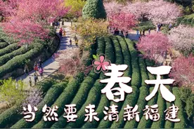 太撩人！当“生态优等生”福建与春天遇见图片