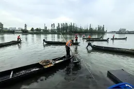 耙螺蛳“耙”出村里第一批万元户，杭州这个村进入螺蛳产销旺季图片