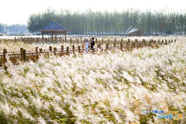 出发！抓住秋天的尾巴威海『拾秋地图』上新啦