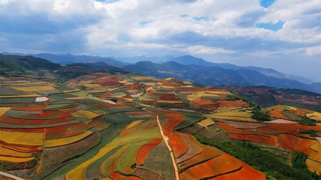 渝昆高铁来了，云南三地先吃“红利”？