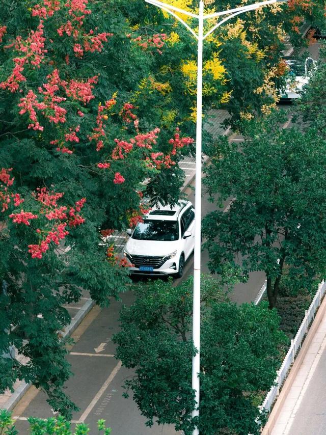 鄂州的秋天不基础