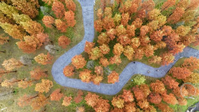 “口袋公园”冬景美
