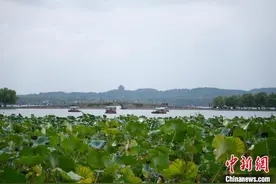 浙江杭州：秋色美如画 游客尽享西湖风光图片