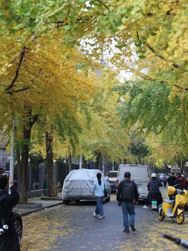 遇见丨开福上新色：捕捉开福黄调时刻