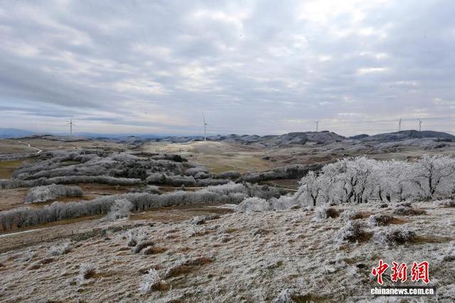 贵州威宁：雾凇作丹青 绘就高原美景