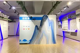 上新！泰安市科技馆自然“泰”奇妙展厅试运行开放图片