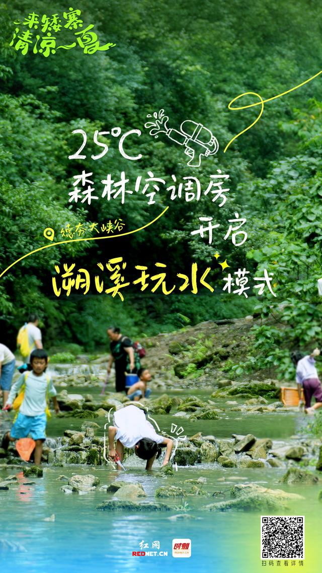 海报｜来矮寨，清凉一夏！