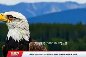 美丽生态(000010.SZ)股价异动不存在应披露而未披露重大信息视频封面