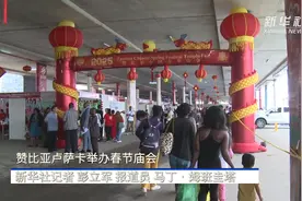 通讯丨跨越万里的文化交融——记在赞比亚举办的春节庙会图片
