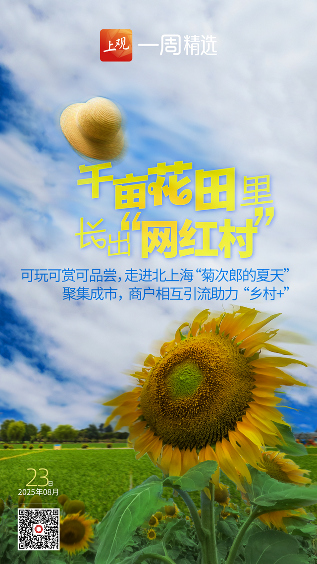 北上海的千亩花田里，能否长出“网红村”
