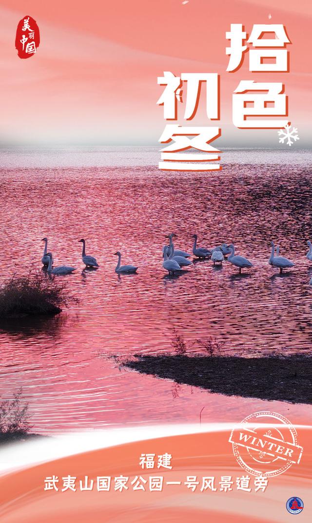 海报｜美丽中国·拾色初冬