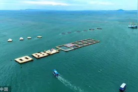 山东荣成打造10余处海洋牧场 游客“海上避暑”图片