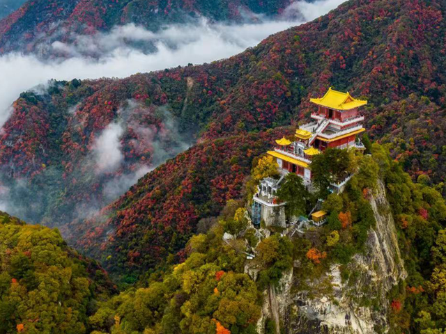 半价！优惠！西安景区冬季特惠