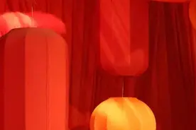 浙里“分红”已到账~图片