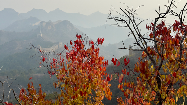 河北滦平：暮秋长城如诗似画