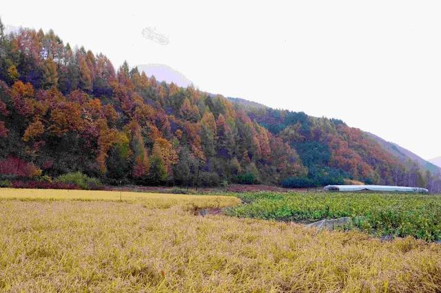 省媒看白山 | 吉林日报：走走停停，G331一路美景一路歌