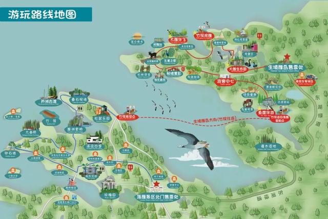 大雁伴飞、鱼鹰伴游，东湖生境雁岛全攻略来了！