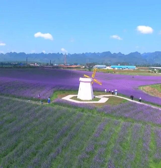 手把手教你“薅羊毛”！2026忻城新春消费兑票全攻略