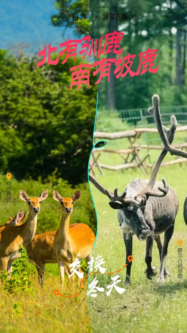 跨越50℃的温差，过两个冬天！中国冬季最远的“撞色CP”来啦！