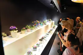 北京市属公园今日迎客80万人次！哪家最受欢迎？图片