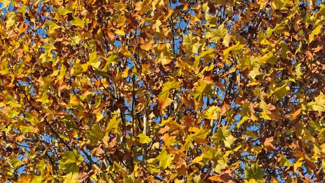 初冬，来大龙开发区遇见“限定暖阳”