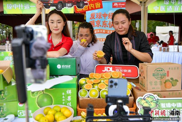 一颗绿橙串起“诗与远方” 琼中绿橙旅游季启动 (组图）