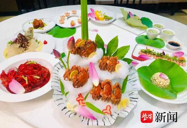 千年诗画铺展生态画卷 镇江金山荷花绽放央视荧屏