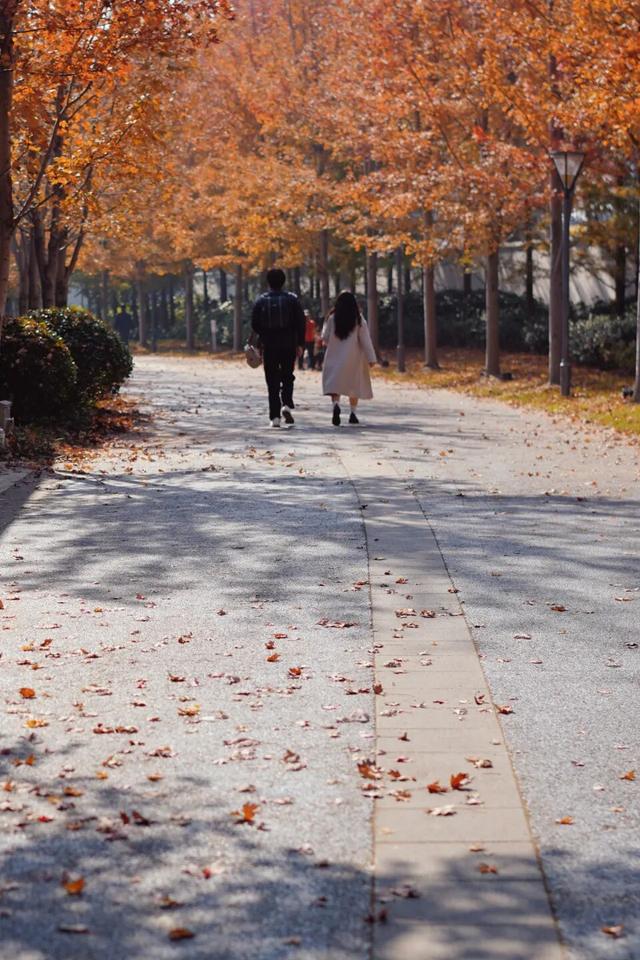 普陀·遇见新视角｜解锁专属你的氛围感大片，秋冬就来普陀这里拍→