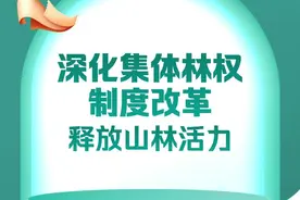 深化集体林权制度改革 释放山林活力图片
