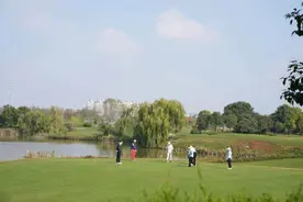 继上海、张家界之后，大批韩国游客飞江苏盐城打高尔夫图片