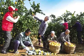 潼南：实施柠檬“共富工程” 跑出乡村全面振兴加速度图片