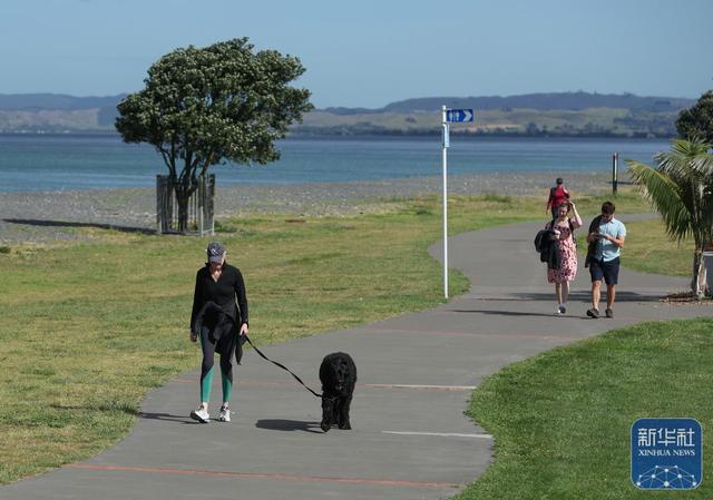 新西兰内皮尔掠影