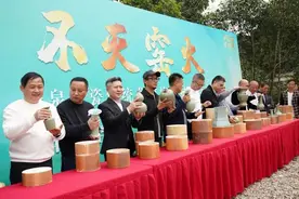 开窑！龙泉千余件历经窑火淬炼的瓷器惊艳出场图片