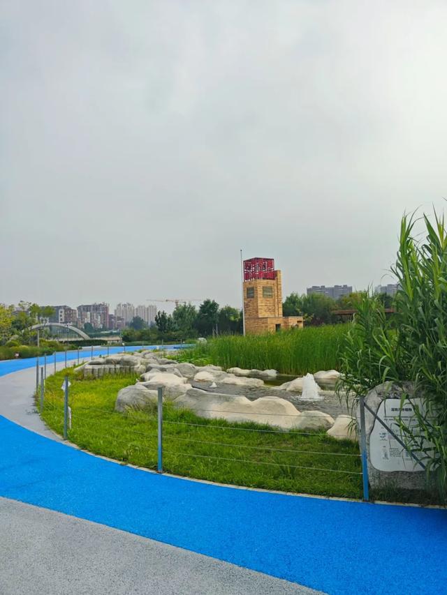 热度高！通州这个新公园到底有啥魅力？小编现场实探，附开放时间......