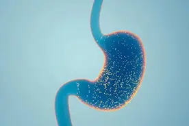 秋季养胃正当时！常吃5种食物，收获健康胃~图片