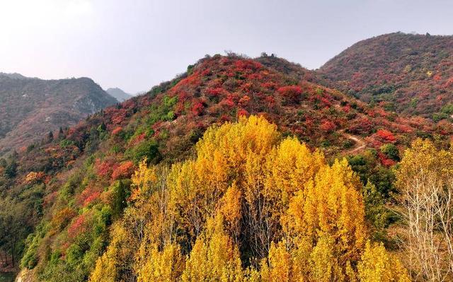 南漳：秋染五朵山