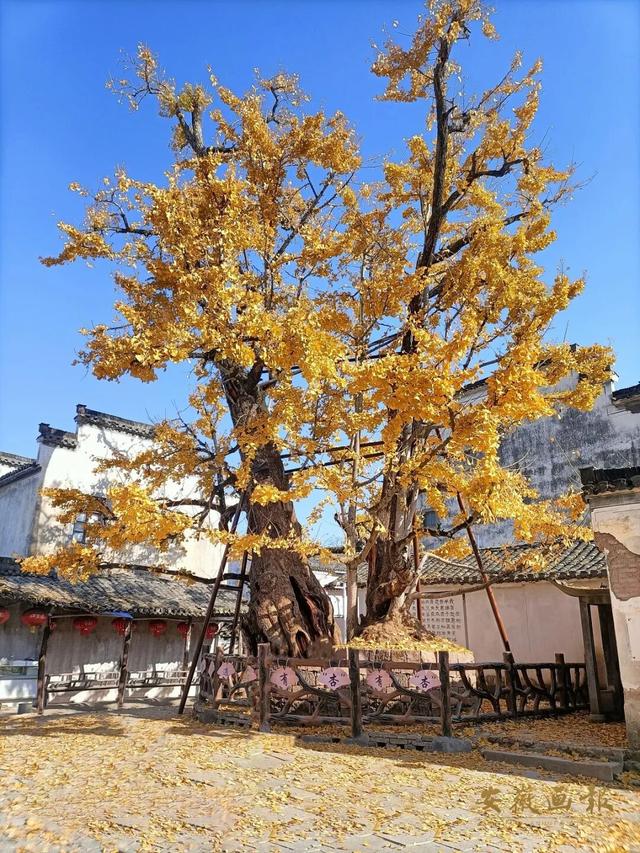 文旅前沿 | 徽州秘境：唐模