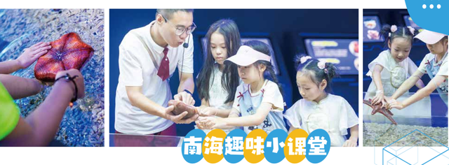 海南海洋欢乐世界入选2025海南研学旅游基地品质提升十佳示范点