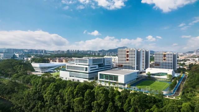 新突破！大湾区大学首次获批国家自然科学基金重大类项目
