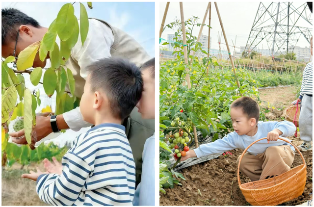 报名开启！来滨海湾这个公园，把一篮“新鲜”摘回家！
