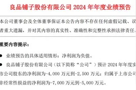 海量财经丨良品铺子2024年业绩预亏，昔日“零食一哥”遭遇困境图片